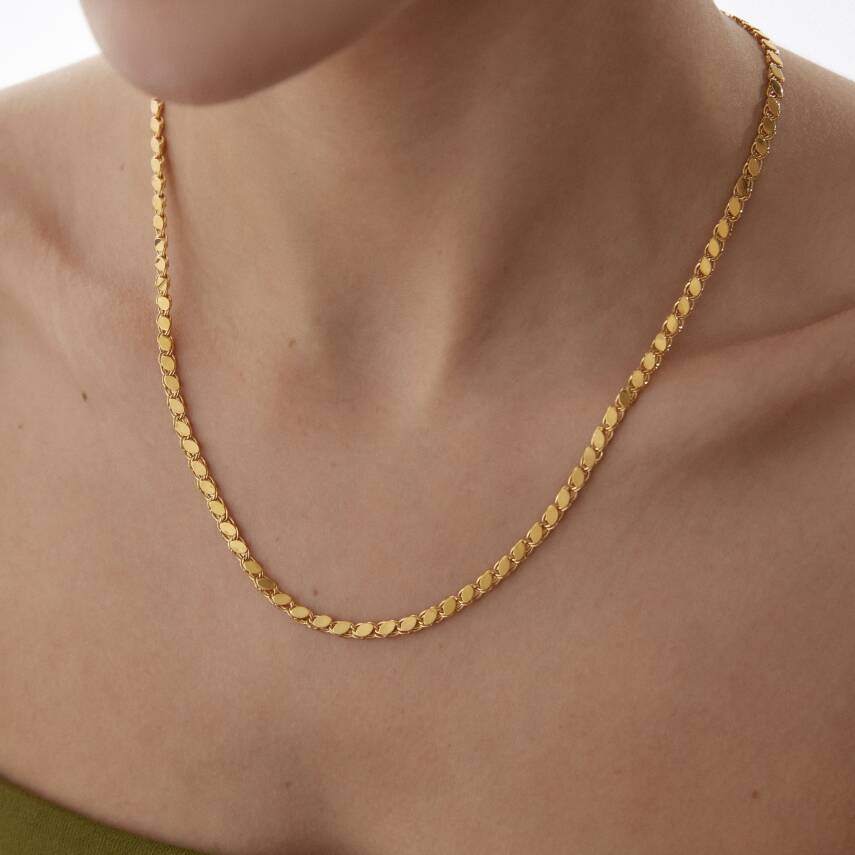 Altın Pullu Zincir - 1