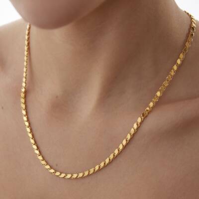 Altın Pullu Zincir - 2