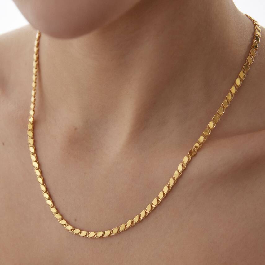 Altın Pullu Zincir - 2
