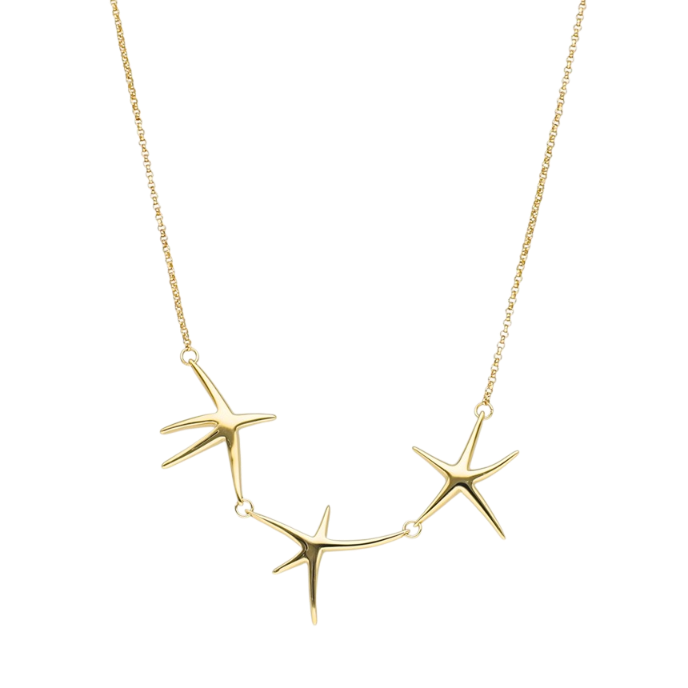 Aqualis Deniz Yıldızı Altın Cetaş Kolye - Cetaş 