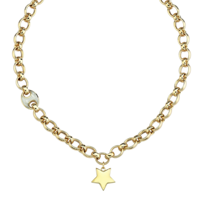 Eterna Sedef Mineli Yıldız Cetaş Altın Kolye - 1