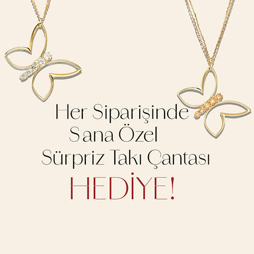 Semih Haşhaş Kuyumculuk Takı Çantası - 1